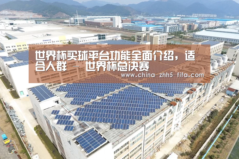 案例展示三