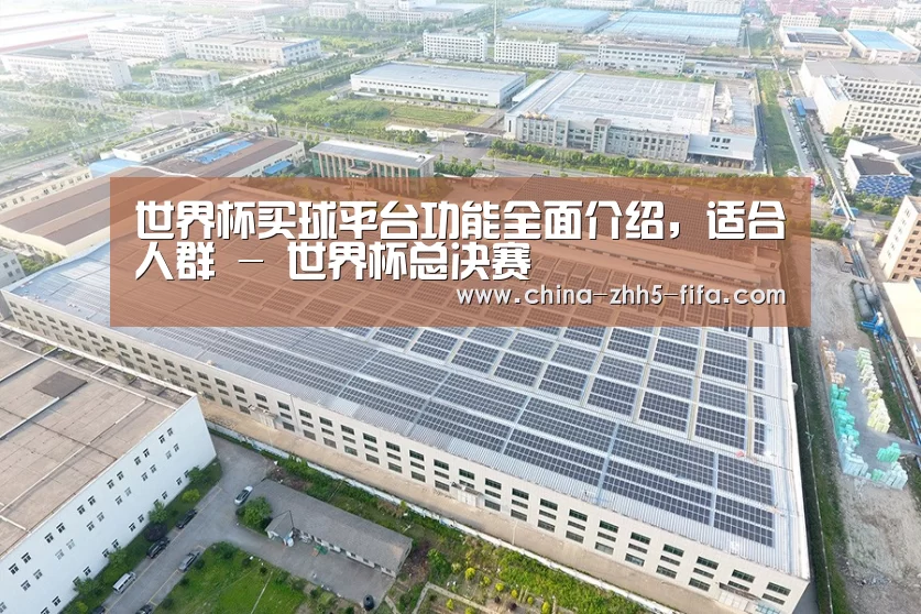 案例展示四