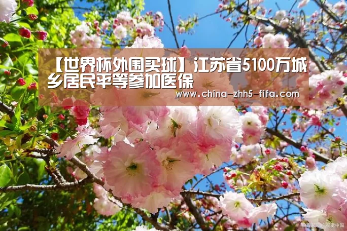 【世界杯外围买球】江苏省5100万城乡居